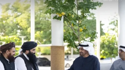 رئيس الإمارات يستقبل وزير الداخلية الأفغاني