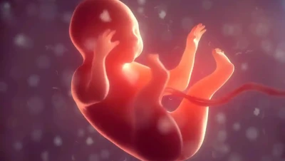 تفسير حلمت أني أجهضت ونزل دم وأنا حامل: بين الخوف والفرج