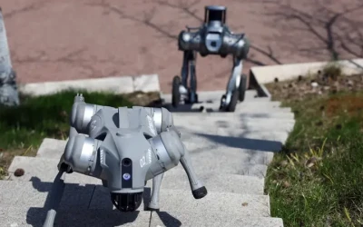 الصين تراهن على ديب سيك.. وتطوّر كلاباً ومسيرات ذكية