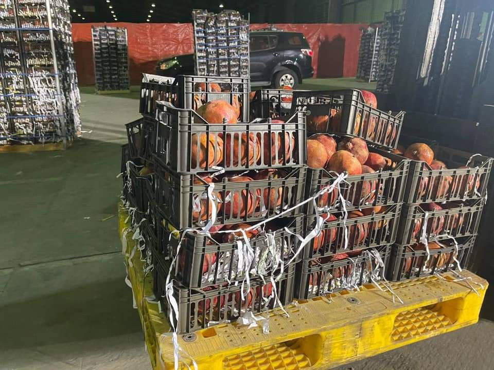 مخدرات شحنة "الرمان".. لبنان يعلّق على قرار السعودية ومسؤول يتهم السوريين