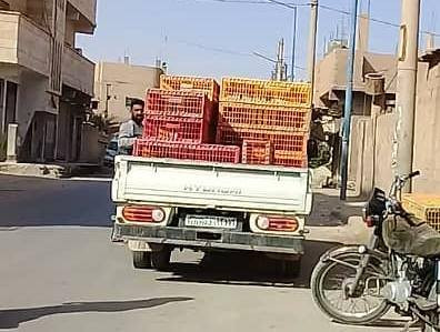 ميليشيات "الحشد الشعبي" ترفع أسعار لحوم الدجاج في سوريا بتهريبها إلى العراق
